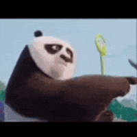 Kung Fu Panda Po GIF