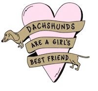 dog heart Sticker by beangoods