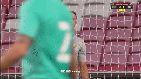 Sl Benfica Slbgif GIF by Sport Lisboa e Benfica