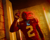 Dj Harvey GIF by USC Trojans