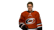Jake Gardiner Sticker by Carolina Hurricanes