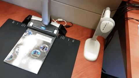 alysongee giphygifmaker GIF