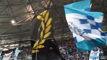 om supporters GIF by Olympique de Marseille