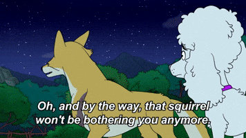 Coyote Killed the Squirrel | Season 1 Ep. 7 | HOUSEBROKEN