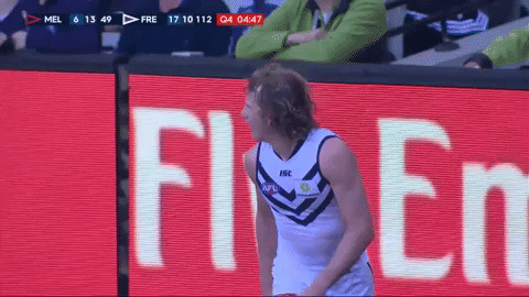freodockers giphyupload fremantle dockers freo GIF