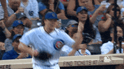 Lets Go Sport GIF by MLB