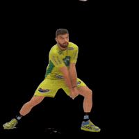VoleiRenata volei voleirenata GIF
