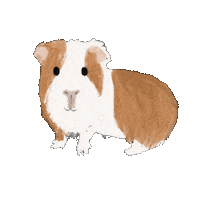 Hamster Neville Sticker by Andrea Caceres