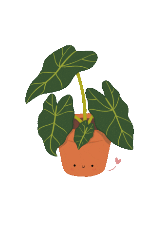 mailinhstudio giphyupload kawaii home plant Sticker