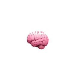 Kaplan Test Prep Future Doctor Sticker by Kaplan