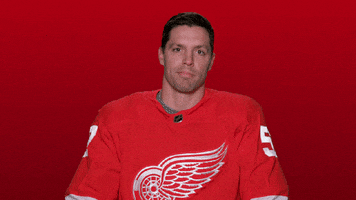 Red Wings Sport GIF by Detroit Red Wings