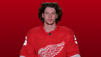 Red Wings Sport GIF by Detroit Red Wings