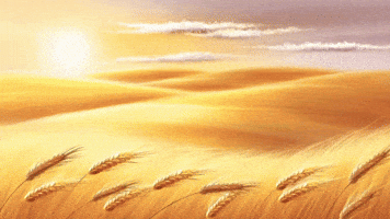 Preach Jesus Christ GIF
