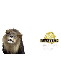 Angry Katy Perry Sticker by Yanni Raz