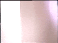 Space Chipmunk GIF