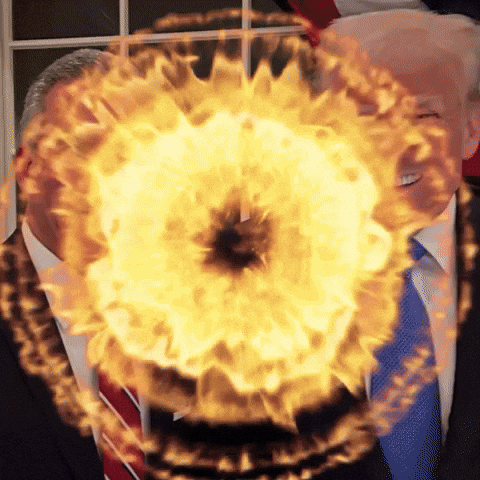 Donald Trump GIF by Respective