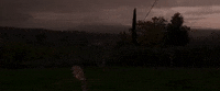 Guitar Performance GIF by Ed Sheeran