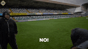 Irish Football No GIF by Northern Ireland