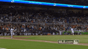 Miami Marlins Celebration GIF by MLB