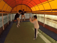Dino Dk GIF