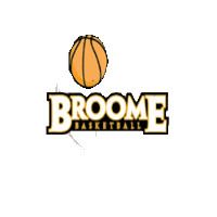 Sunybroomebasketball Sticker by SUNY Broome