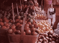 archivesontario food shopping yummy toronto GIF