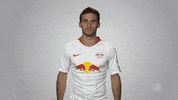 rb leipzig GIF by Bundesliga