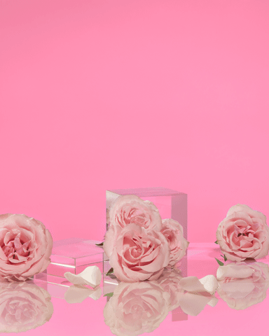 saphirahair giphyupload GIF