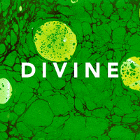divinemusique music trippy psychedelic divine GIF