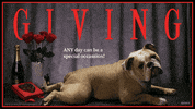 Give Valentines Day GIF by Originals