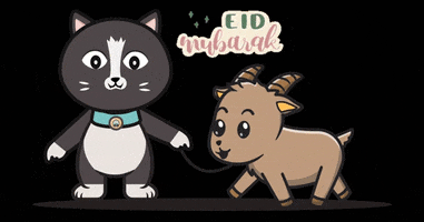 Eid Adha Cat GIF by HalalSG