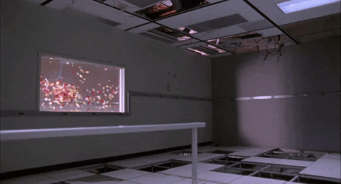 petals GIF by NOWNESS