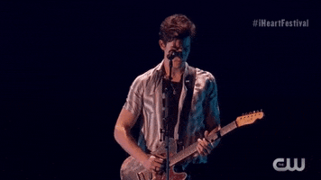 shawn mendes iheartfestival 2018 GIF by iHeartRadio
