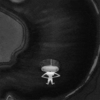 Animation Loop GIF by PMS project