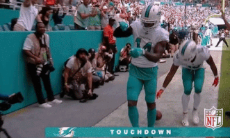 Miami Dolphins Football GIF by NFL