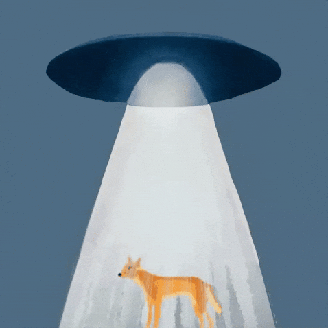 Mans Best Friend Dog GIF by Barbara Pozzi