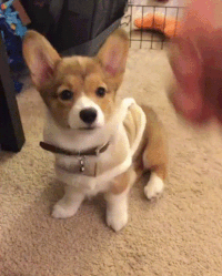 source ig GIF