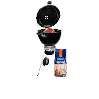 CarnesRamosMty monterrey carne asada carnes ramos steack Sticker