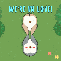 Happy Feet Love GIF by Pudgy Penguins