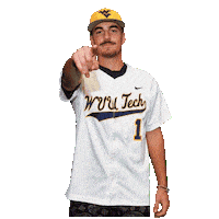 Cameron Lynch Baseball Sticker by WVU Tech Golden Bears