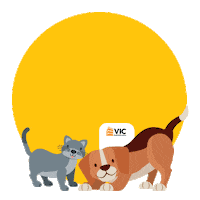vicengenharia vicengenharia vic engenharia Sticker