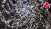 James Webb Stars GIF by ESA Webb Space Telescope