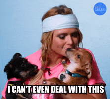 Miranda Lambert Deal With It GIF by BuzzFeed