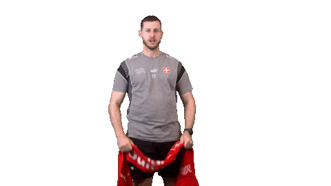 Switzerland Suisse Sticker by Swiss Football Association