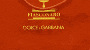 Dolce And Gabbana Thank You GIF by Casol