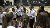 tribeathletics wmtribe tribevolleyball wmvolleyball GIF