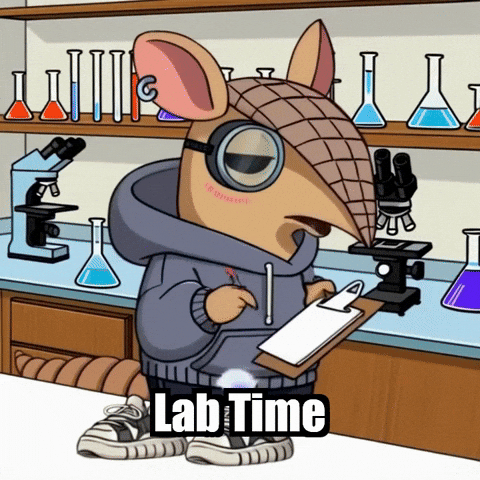 Experiment Armadillo GIF by Chillo Dillo