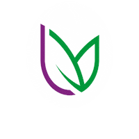 Seed Sticker by legutko