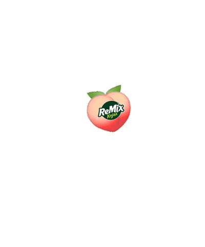 ReMixKnjaz giphyupload Sticker