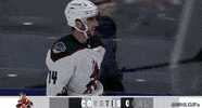 Happy Ice Hockey GIF by NHL